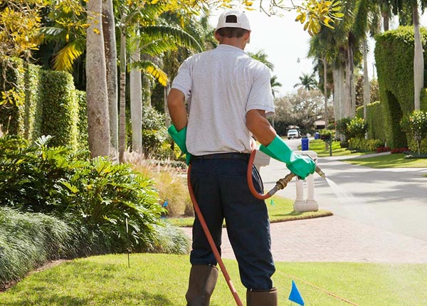 About Fisk MO Pest Control